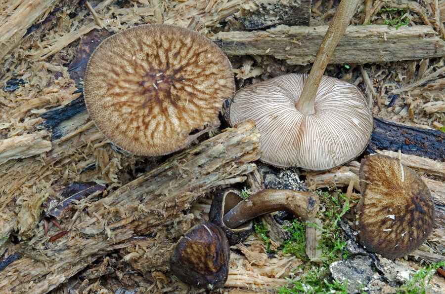 30.08.2013 Nähe Rothenbuch im Spessart
